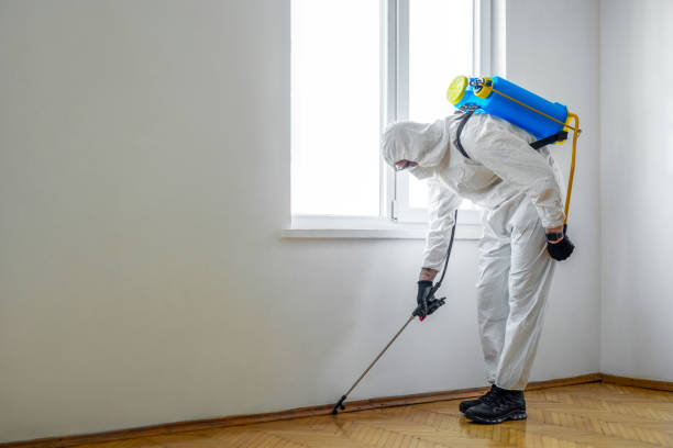 Professional Pest Control in Cambridge, MA